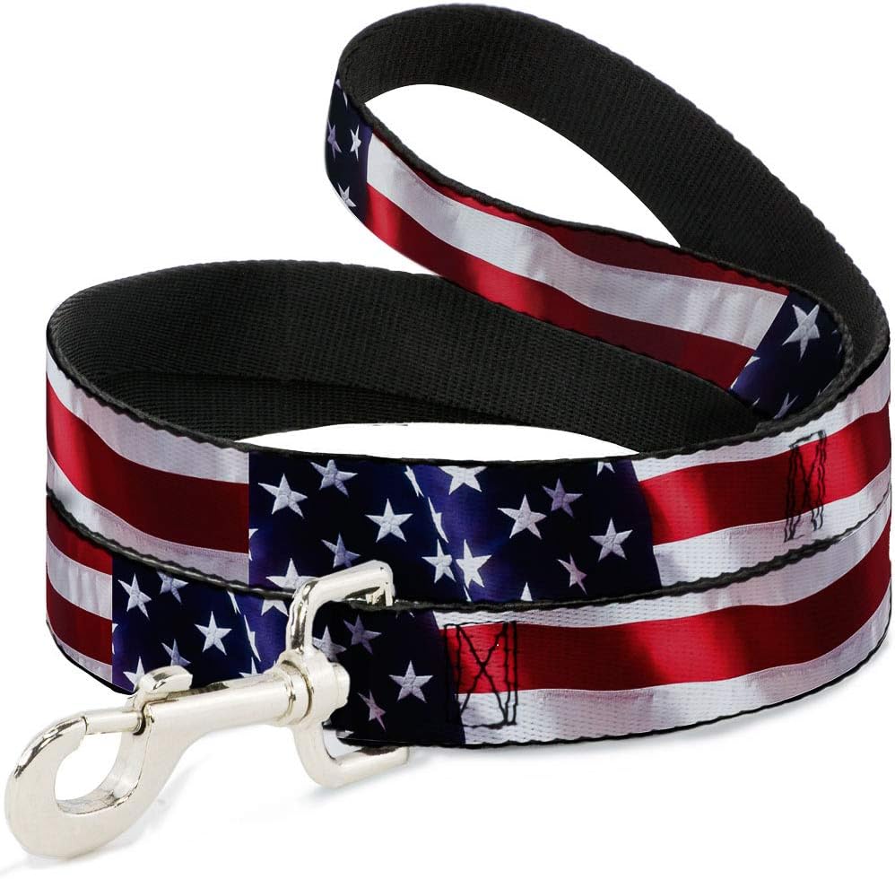 Buckle-Down Dog Leash American Flag Vivid Close Up 6 Feet Long 1.0 Inch Wide, Multicolor (DL-6FT-W30158)