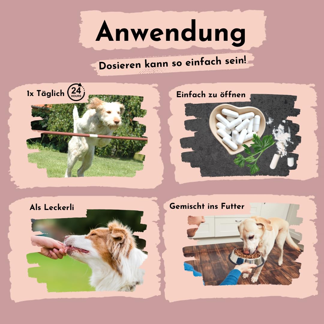 L-Glutamin für Hunde - 2X 90 Kapseln für bis zu 6 Monate - Aminosäuren wie Glutamin können dabei unterstützen, das Immunsystem zu stärken, ohne unerwünschte Zusätze, Aromen oder Farbstoffe