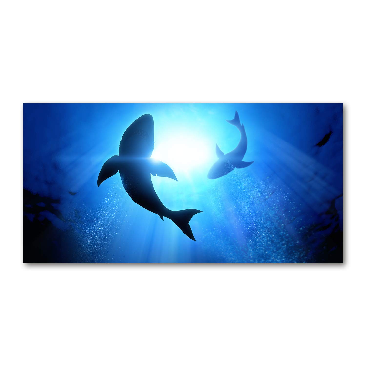 Acrylic glass picture animaux Tulup 140x70 cm : la perfection du plexiglas d'art chez vous