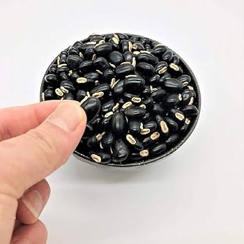 農薬不使用 黒ムクナ豆 15kg 農薬不使用 黒ムクナ豆 15kg