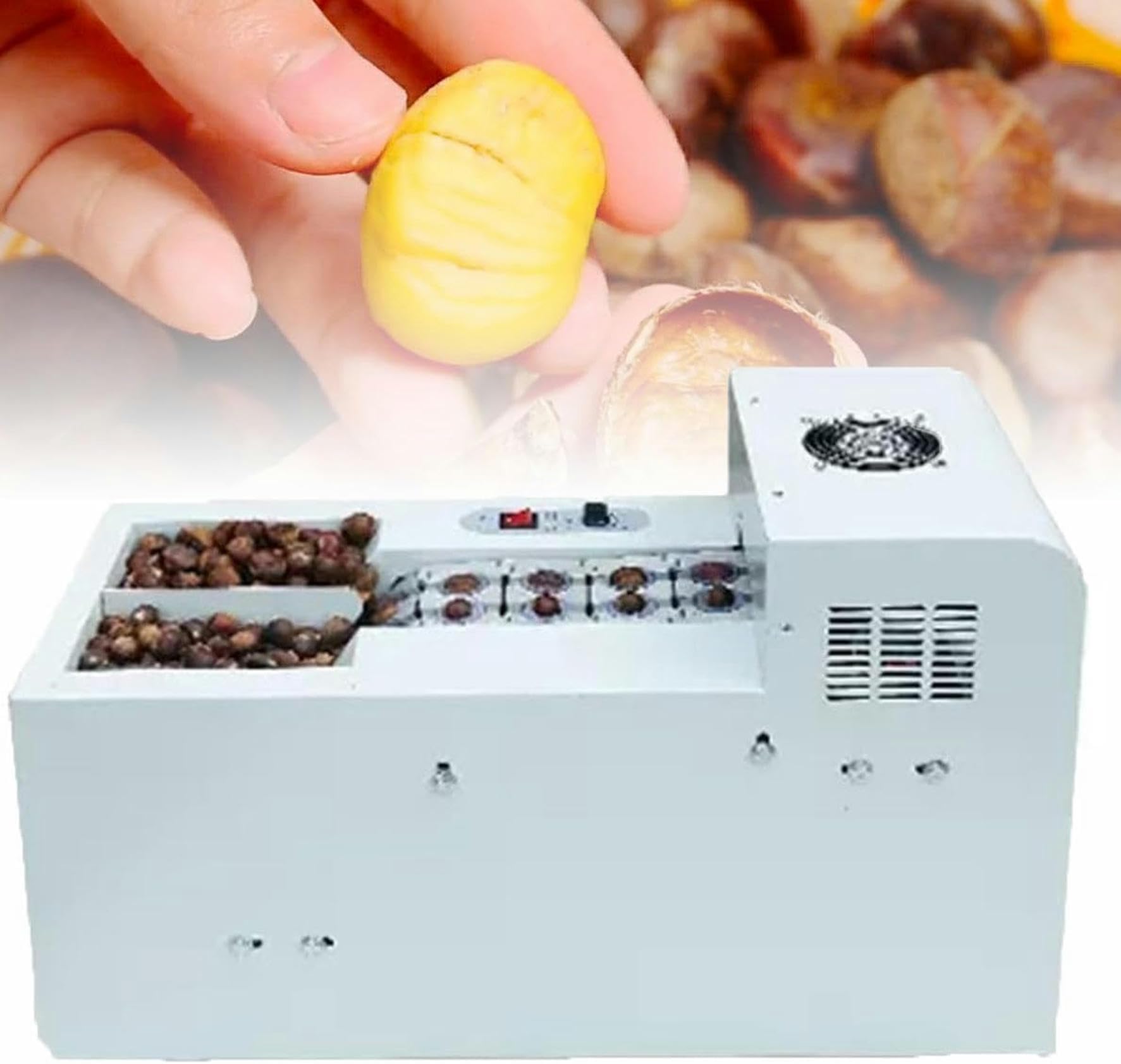 Macchina Commerciale per Castagne, frantoio Elettrico per Castagne 30-50 kg/h, Macchina Automatica per la spremitura, Doppia Catena