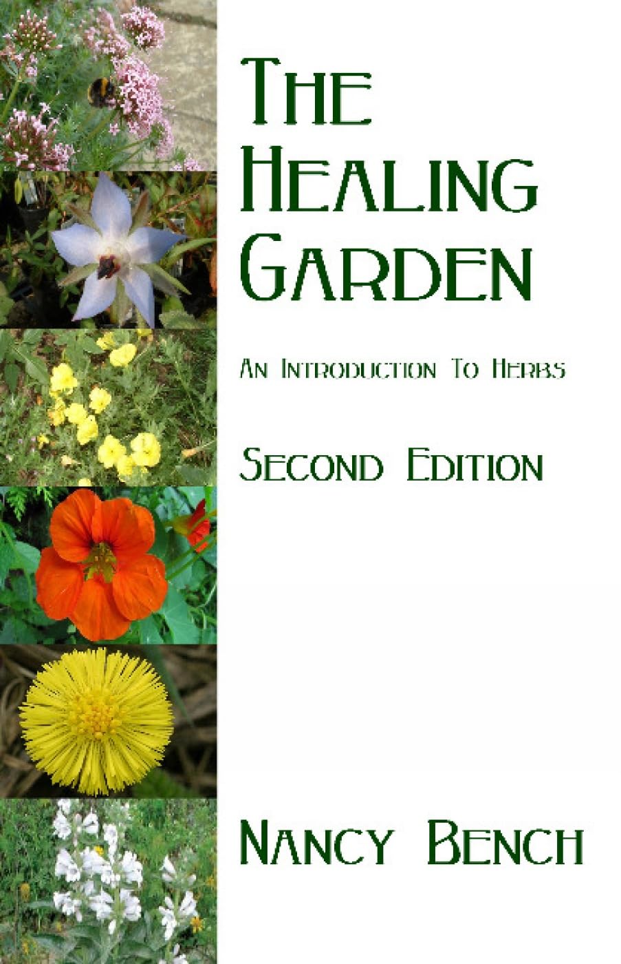 Healing Garden: An Introduction to Herbs