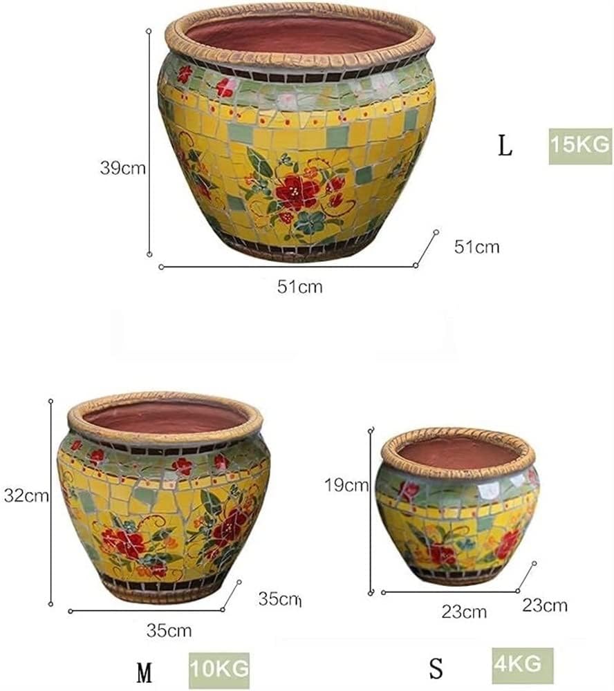 熊本栄司 陶器鉢 鉢底皿付き 作家鉢 グラキリス アガベ パキプス