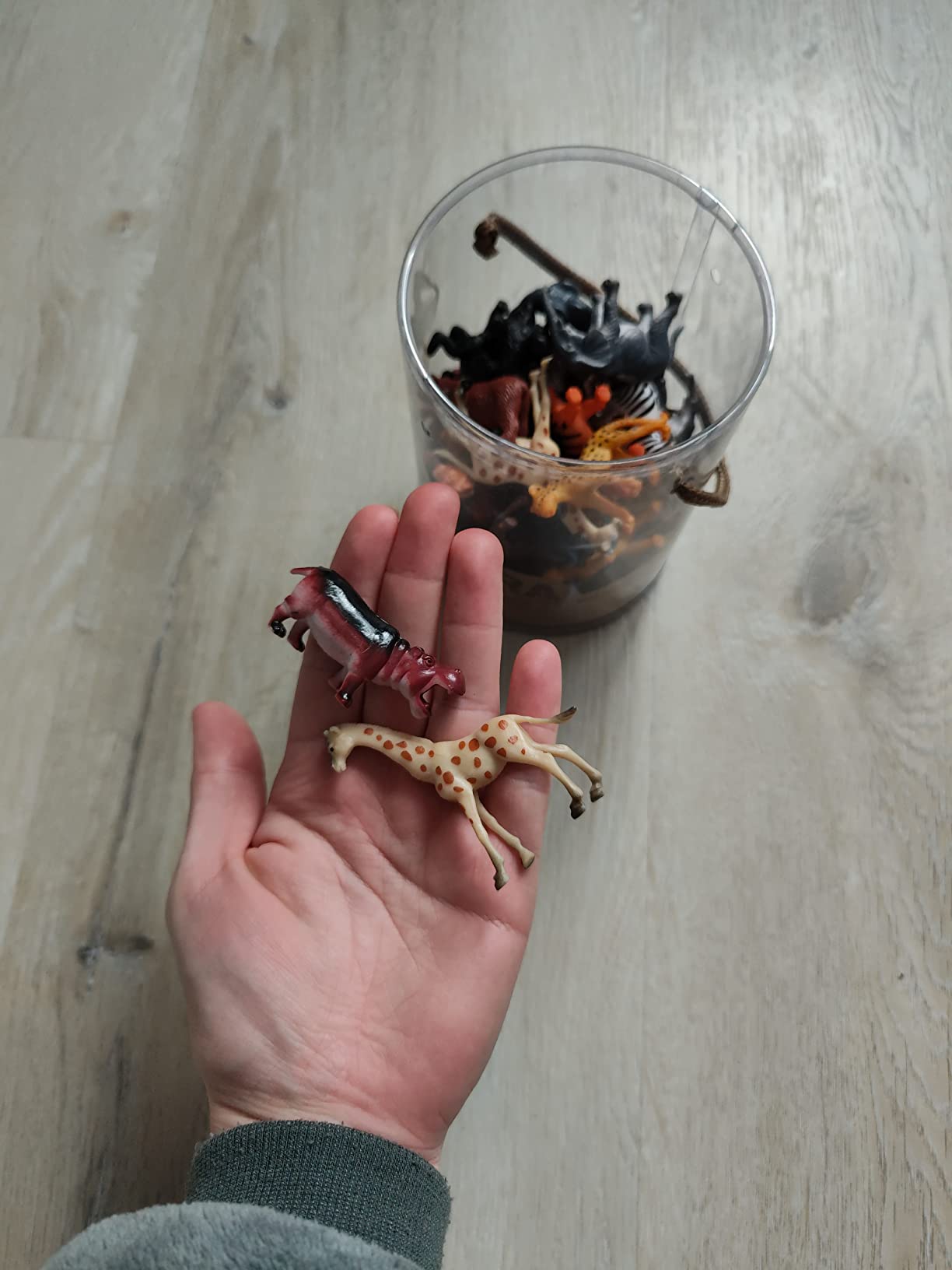 Terra 60-Piece Animal Figures Collection Wild Panama | Ubuy