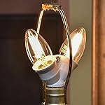 Review Image by Charles J. Hampton-Snow Charles J. Hampton-Snow