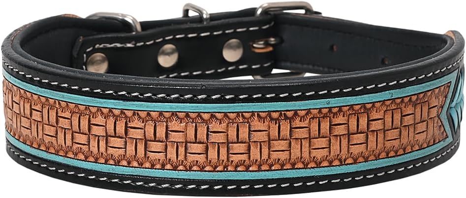 Tan Large HILASON Strong Genuine Leather Dog Collar Painted