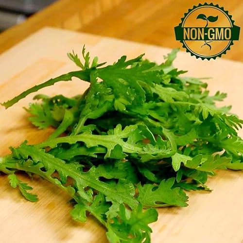 Miniatura 4 de Gaea's Blessing Semillas Shungiku (0.05 oz) Semillas sin OMG con instrucciones de siembra fáciles de seguir - Verdes de crisantemo Tong Ho Heirloom