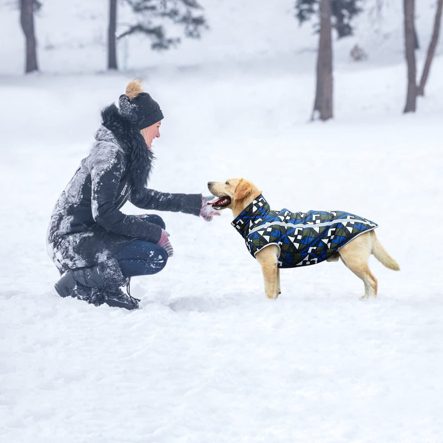 Idepet Haustier Katze Hundemantel, warme Hundepullover Winter klein mittel groß Hundejacken Weste Winddicht Schneeanzug Hundekleidung Outfit mit Gurtloch