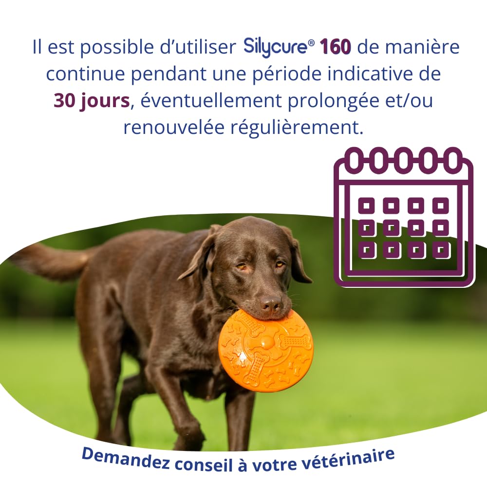 ANIDEV Silycure 160 - Aliment complémentaire Soutien Fonction hépatique Chien - Silybine Chardon Marie - Comprimés appétents quadrisécables - 75 comprimés
