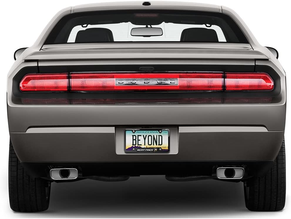 iPick Image Compatible with Dodge Scat-Pack Full Color Real Carbon Fiber Insert Black 50 States Stainless Steel License Plate Frame