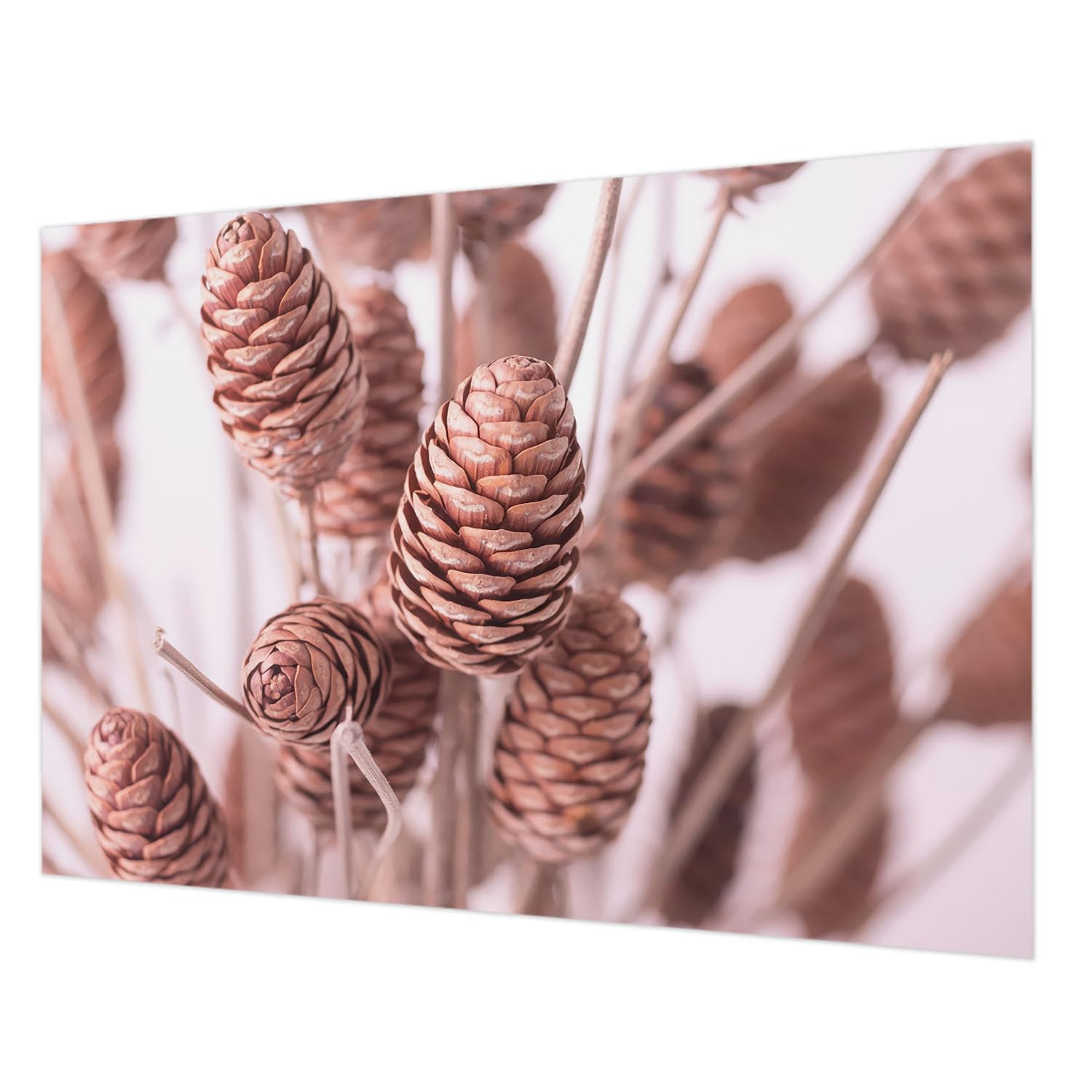 Décoration murale intissée 312x219 cm élégance naturelle pour un salon ou chambre