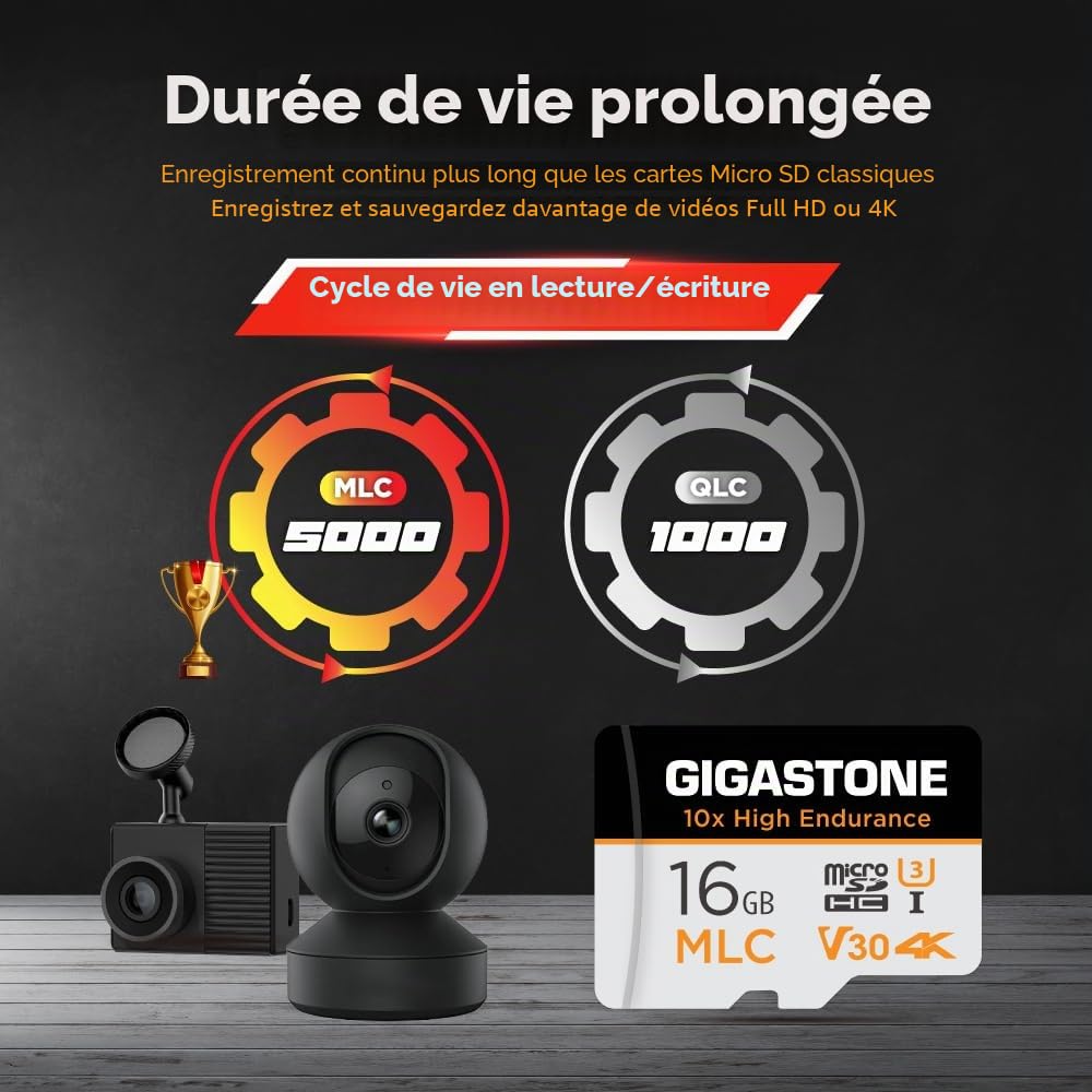 [10x Haute Endurance] GIGASTONE Industriel MLC Carte Mémoire 16 Go, Lot de 10 Cartes, pour Caméra de Surveillance, Dashcam, 4K Vidéo, Vitesse 95 Mo/s, U3 V30 [5 Ans Récupération de données Gratuite]