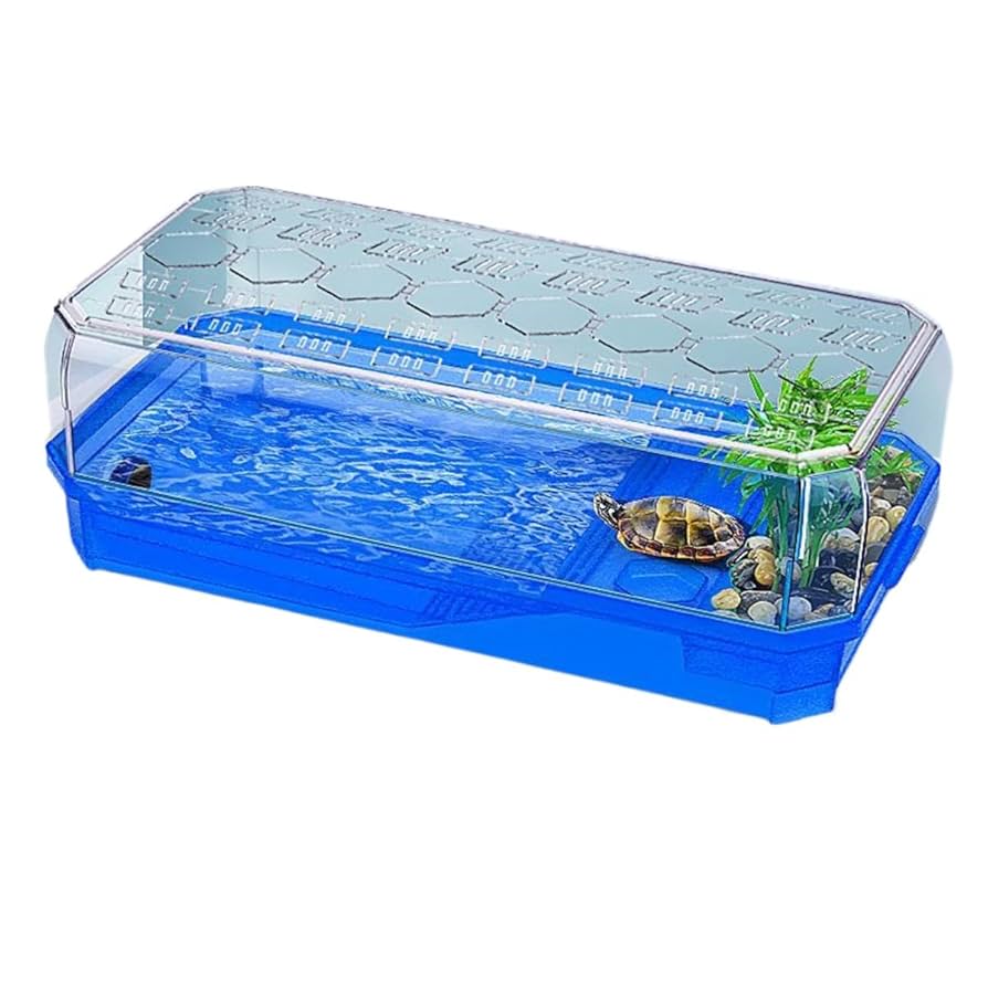 かめ！ページです。 51CbhQ1103L._UF350,350_QL50_.jpg