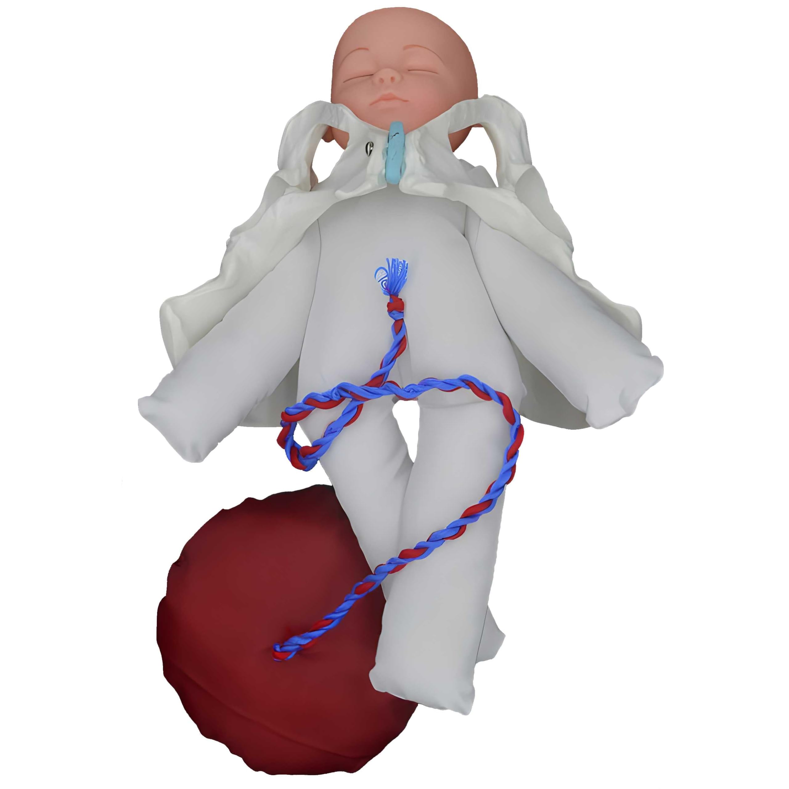 AMITD Modello di nascita per ostetriche con fondo pelvico e neonato per simulazione realistica