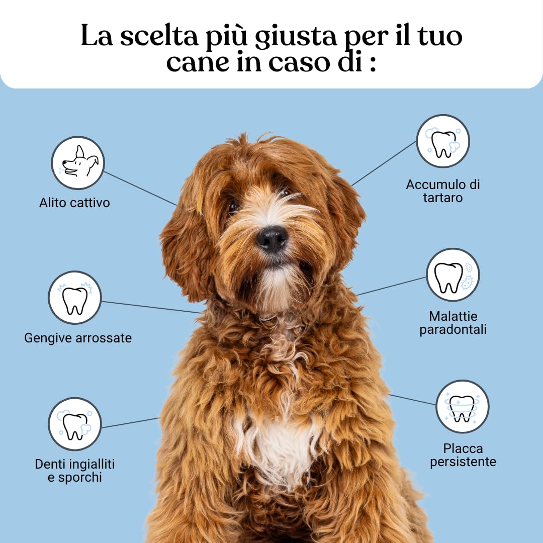 Bàu Kit Igiene Orale Cane Completo – Polvere Antiplacca con Ascophyllum Nodosum + Dentifricio Spray – Rimuove Tartaro, Alito Fresco, Denti e Gengive Sane Senza Spazzolino