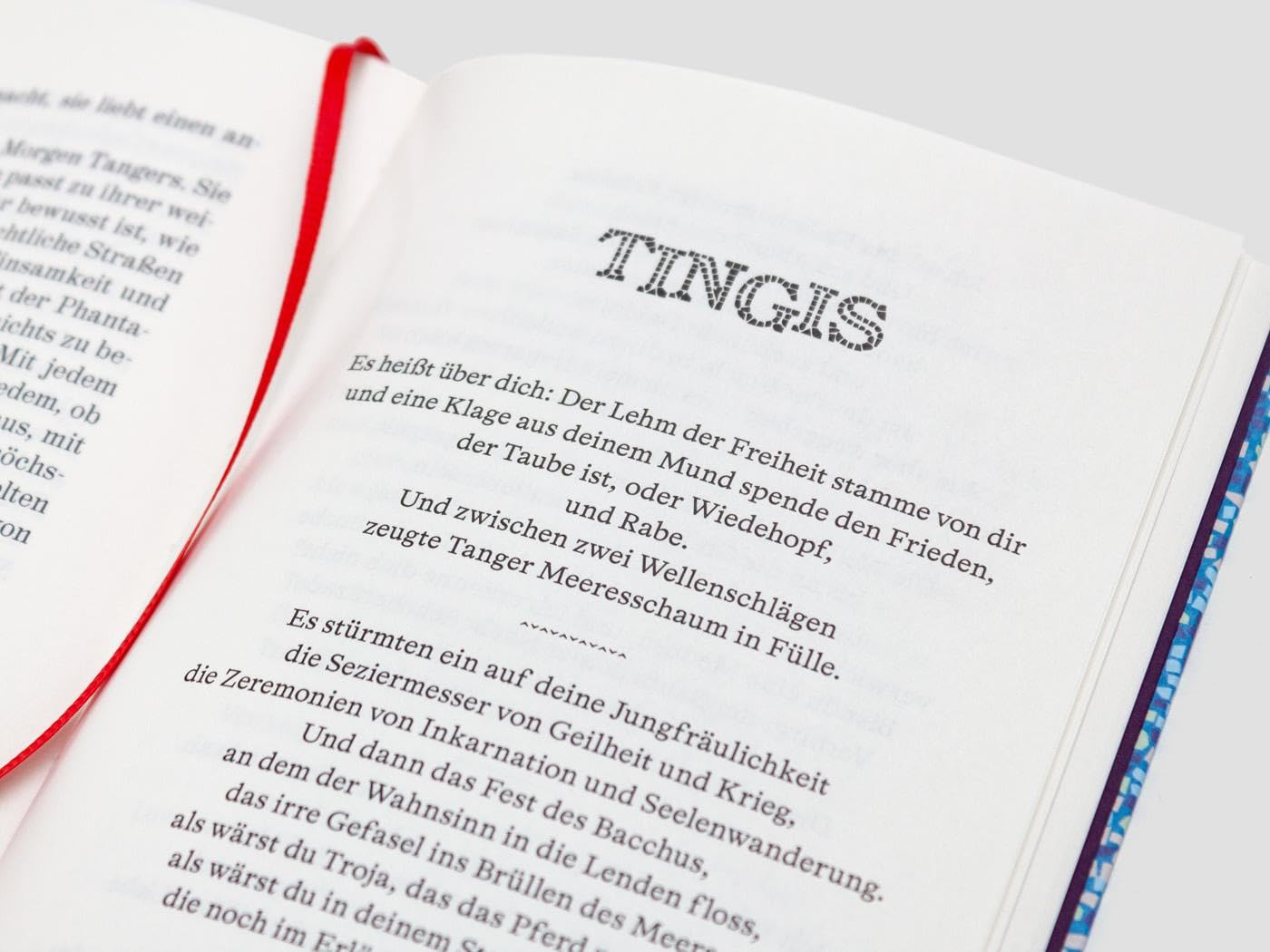Zeit der Fehler: Autobiographischer Roman (Die Andere Bibliothek, Band 465)