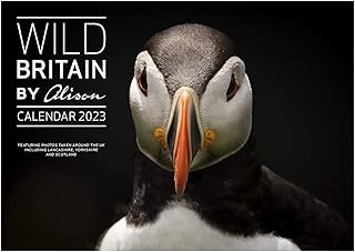 By Alison 2023 Calendar Wild Britain British Wildlife Calendar A3 Wall Calendar Space to Write on Each Day. Lists World Wildlife Days Calendar 2023 Nature Month by Month Wall Calendar Month to View