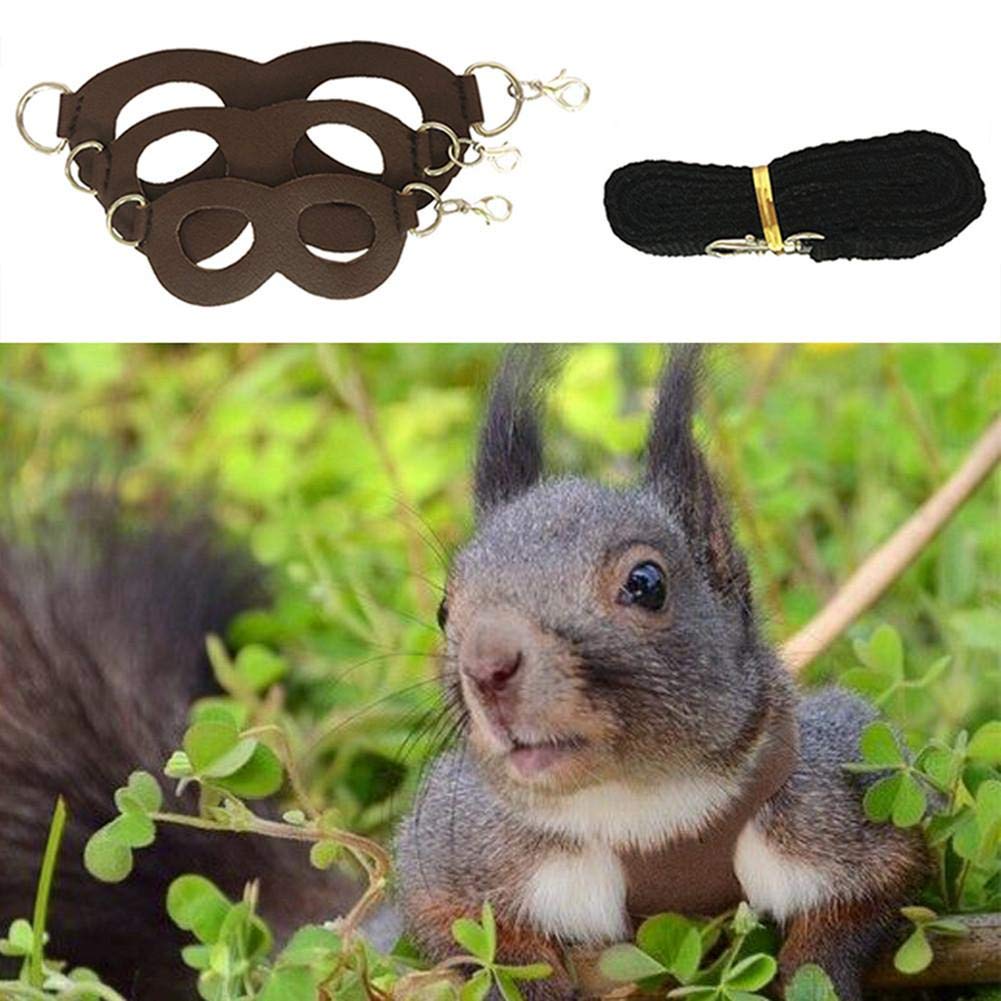 Harnais Ecureuil Laisse Gilet Jouet pour Chinchilla, Jouet De Marche pour Gerbille Furet Animaux Souris Écureuil Rat Petits