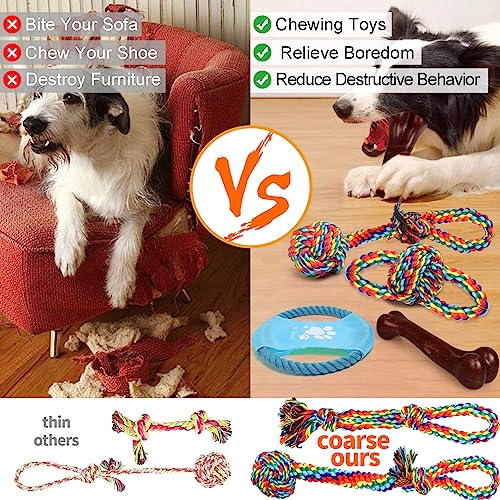 XLMYS Dog Toys for Aggressive Chewers 13 Pack,Indestructible Tug of War Toys for Small, Medium, Large Dog Breeds, Teeth Cleaning Chew Toys Pet Interactive Rope Toys - Image 5