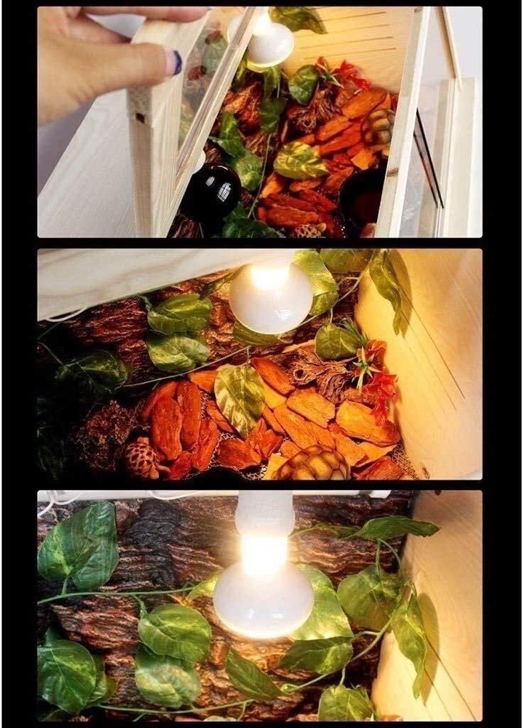 Przenośny mały zbiornik na płazy, terrarium dla gadów biurowych, naturalne pudełko dla gadów, pojemnik do hodowli gadów domek dla zwierząt