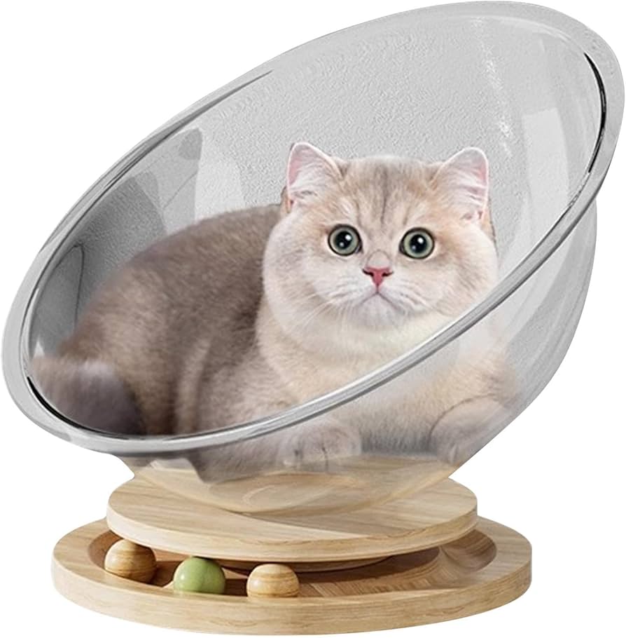 猫のベッドの子猫の椅子