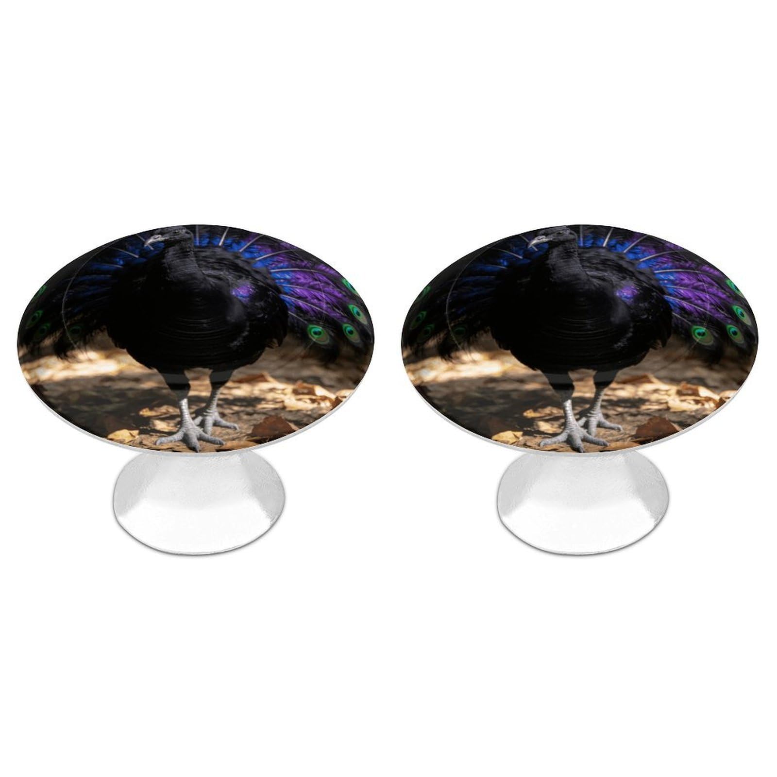 Vstadank Style Black Peacock Cabinet Knob 2 Pack Round Drawer Pull Kitchen Cabinet Hardware Stainless Steel Dresser Drawer Knob Simple Cabinet Pull For Dresser Closet Door Knobs Cupboard