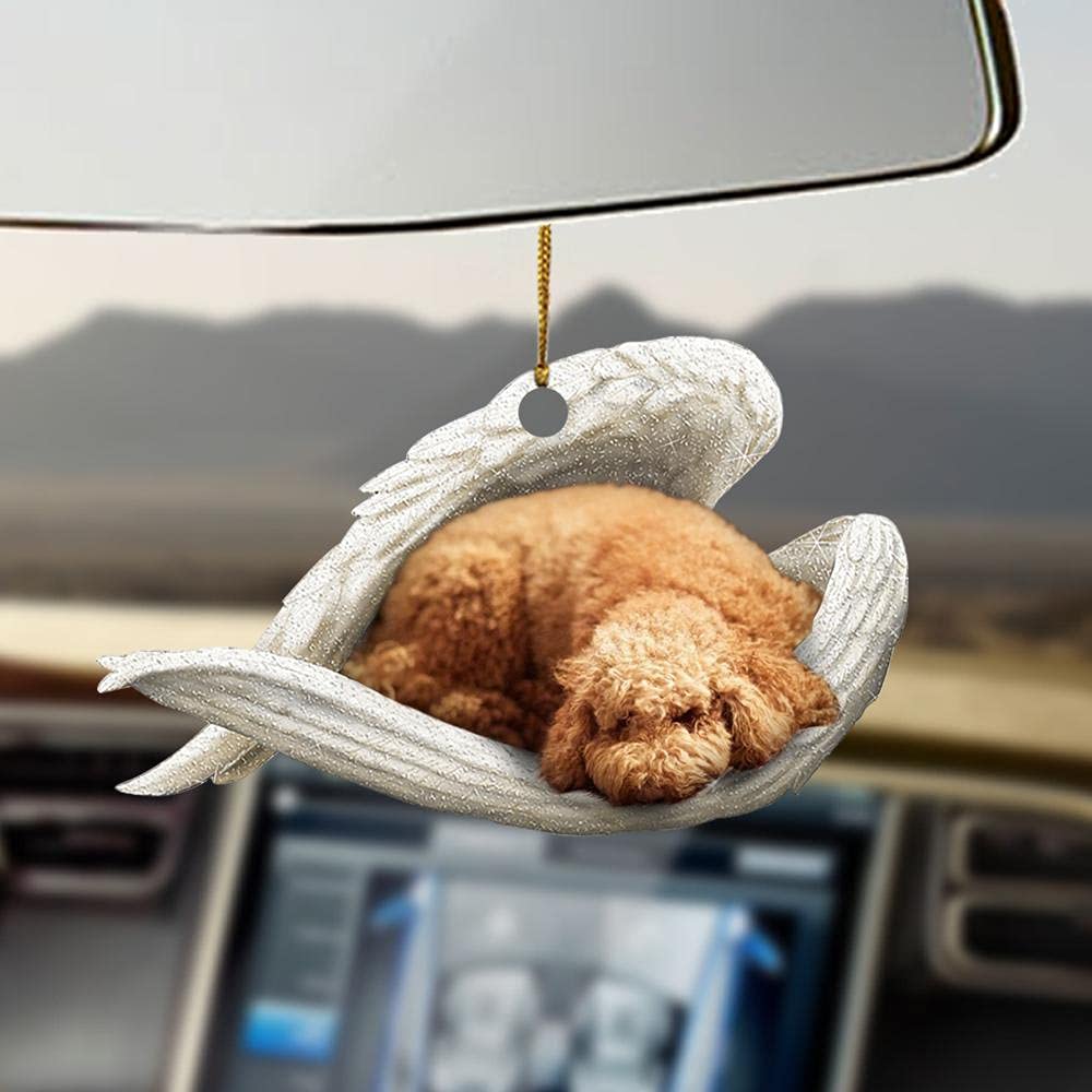 How Long Do Toy Poodles Sleep