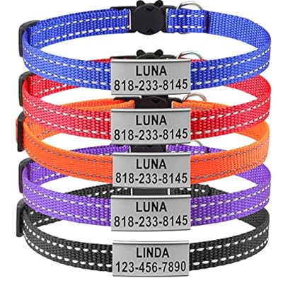 Cat Collar Personalized - Breakaway Reflective