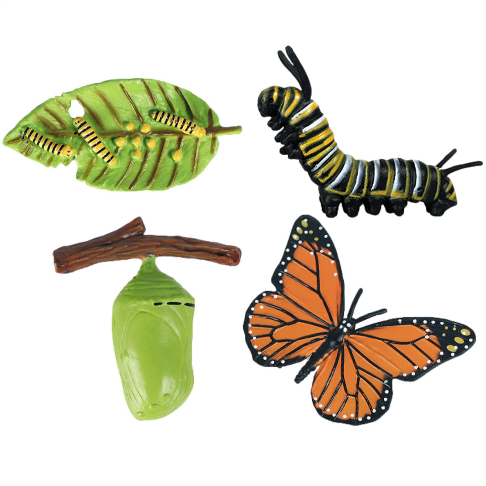 Insectss Life Cycle Figurines - Educational Biological Growth Stages, Realistic Hand-Painted Learning Models, Durable Odourlesss PP Plasticss Build, 4 to 5 Piece Development Sets - for Kids 3 Years — view 8
