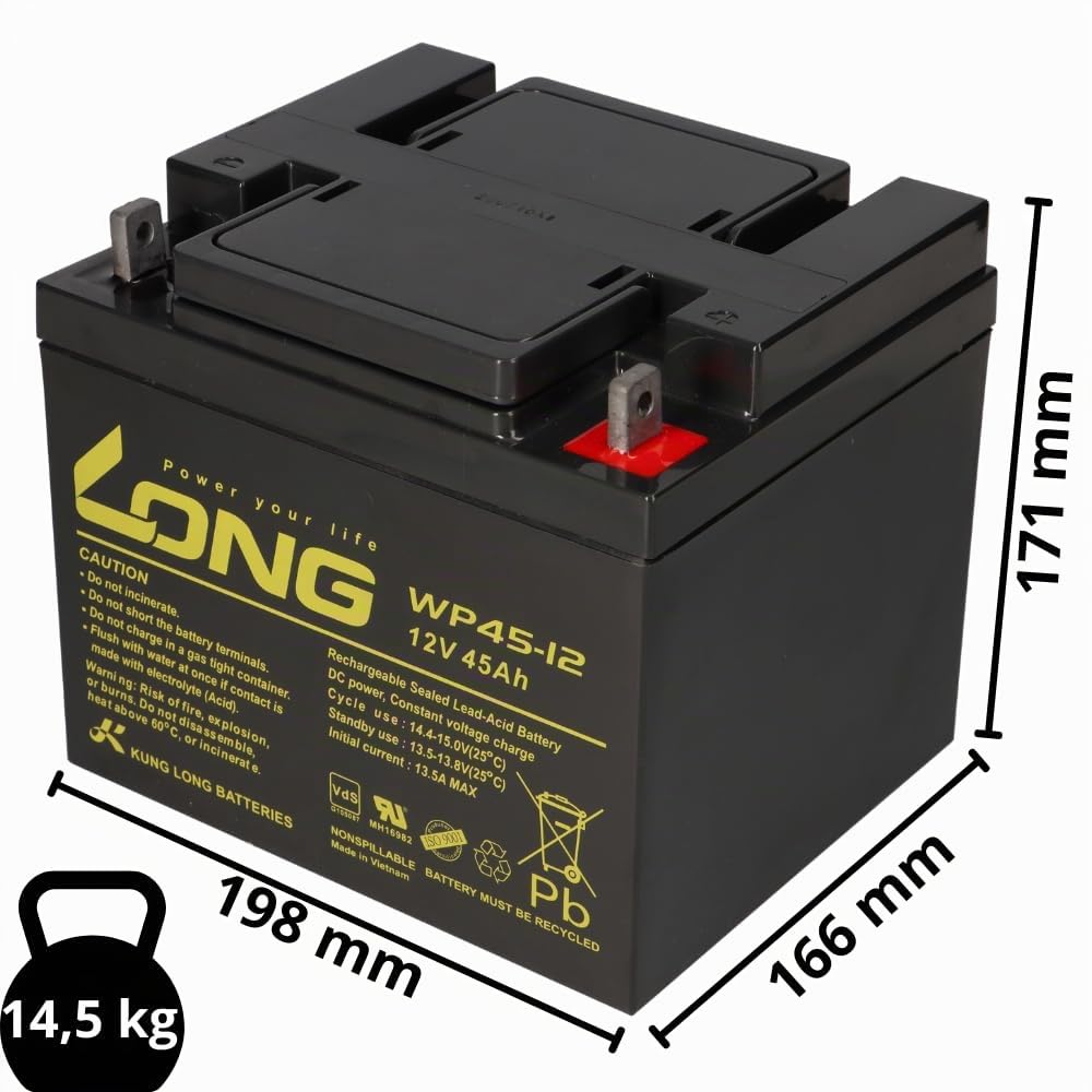 Batterie au plomb longue WP45-12 12 V 45 Ah avec VDs