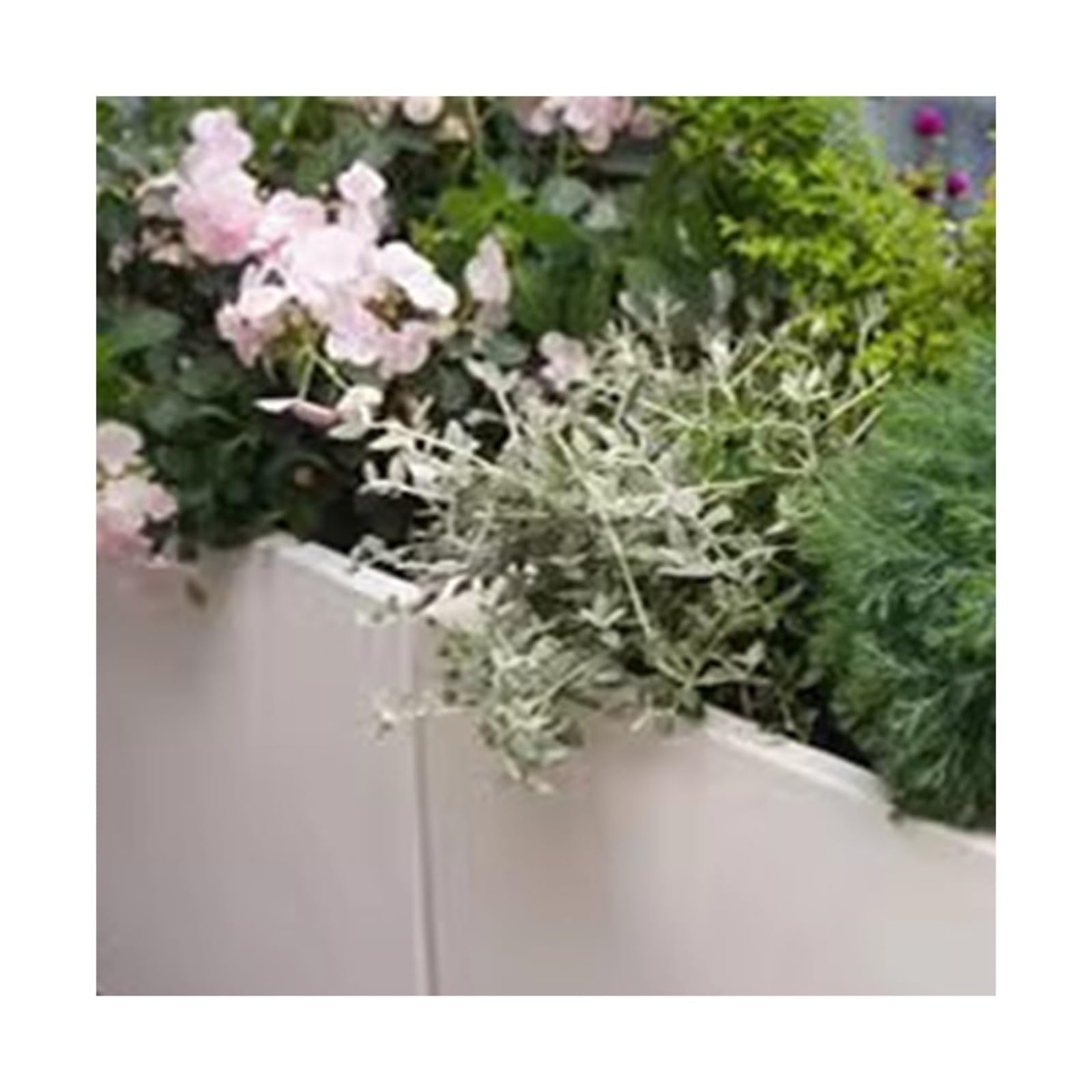 Uliczny plantator Zewnętrzna skrzynka na kwiaty Taras dachu Dziedziniec zewnątrz