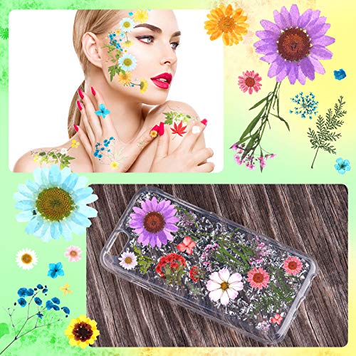 110 Piezas Flores Secas Prensadas para Resina con Pinzas y Caja miniatura 6