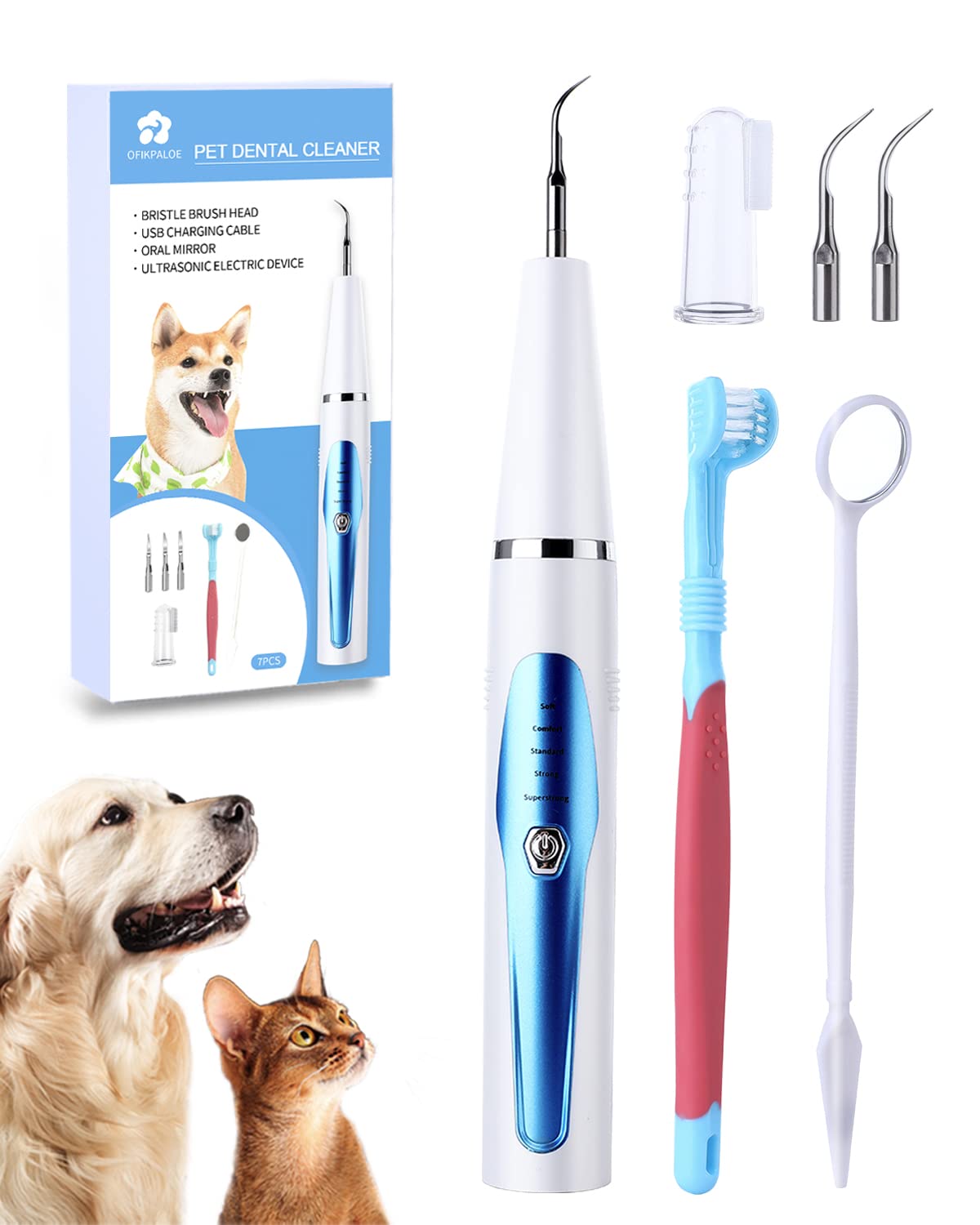 How Often Does A Dog Need His Teeth Cleaned