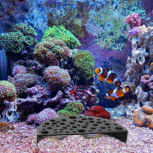 Image of 2Pcs Black Shrimp Cave Ornaments, Good Size Half Moon Shrimp House Decor, Fish Hiding Tools Supplies, Accessories Decor Supplies Can Be Used in Aquariums