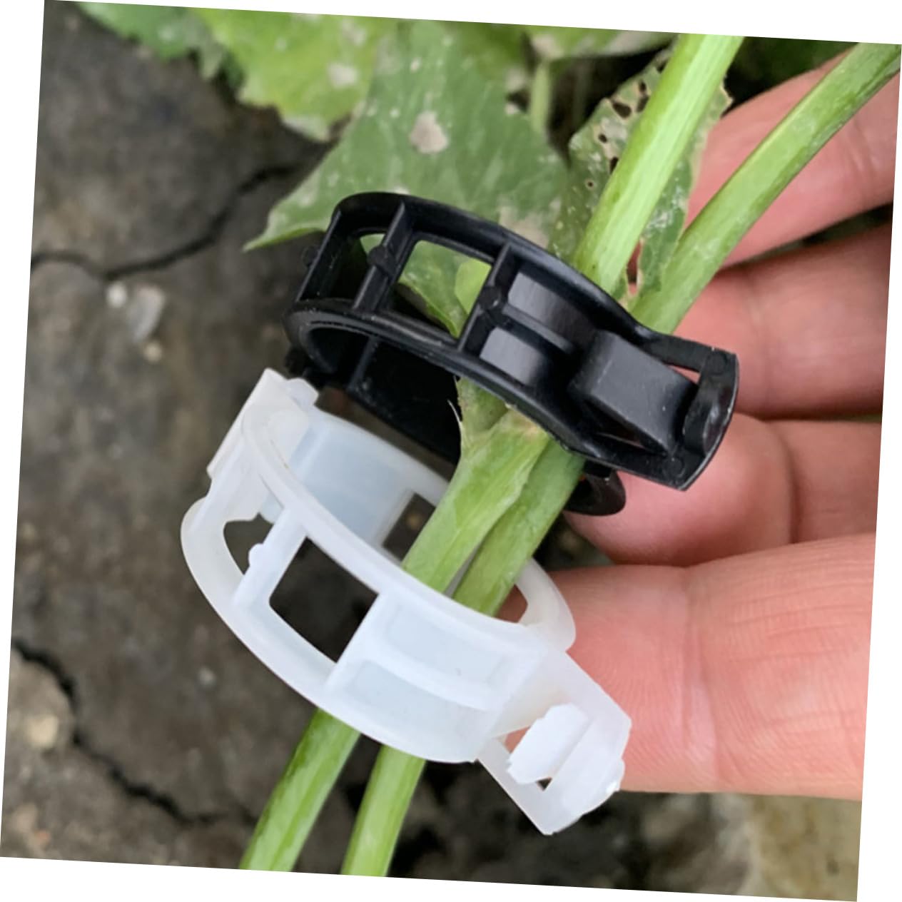 Toyvian 500stücke Pflanzenclips Für Tomaten Flexible Und Wiederverwendbare Klammern Unterstützung Von Und Blumenranken Stabile Materialien Für Gartenprojekte