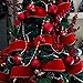 Winlyn 50 Yards Christmas Red Velvet Gold Edge Wired Ribbon 2-1/2