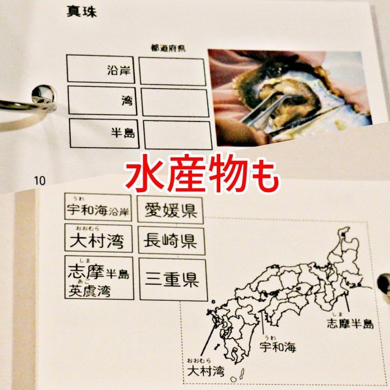 Amazon.co.jp: 地理データバンク 一次産業 暗記カード 中学受験 中学