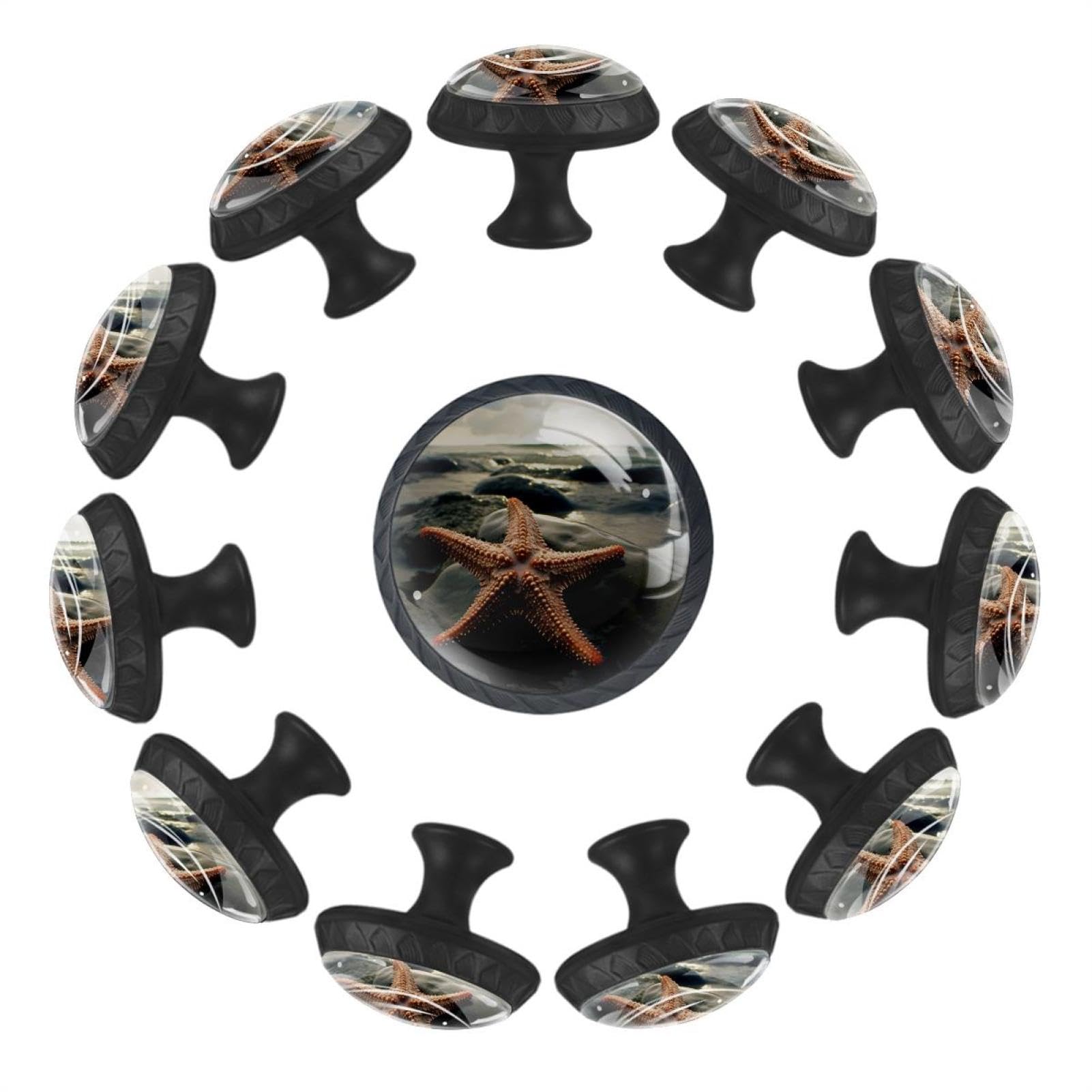 Boutons de tiroir ronds en verre de cristal étoile de mer lot de 12