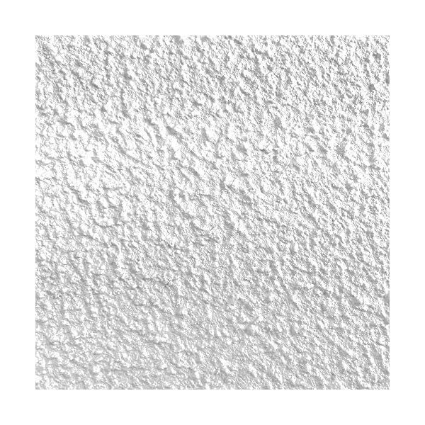 Tuff Grip NonSkid Paint (White, Gallon Extreme) for Ramps, Floors