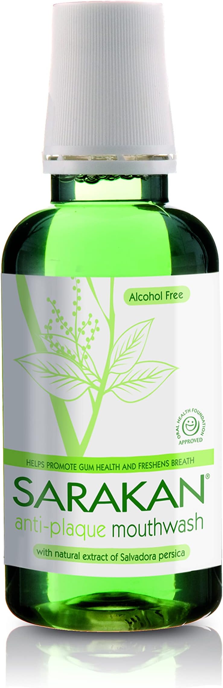 Anti-Plaque Mouthwash (300 ml) | Formulated to Reduce Plaque and Tartar | Alcohol Free | Fluoride Free | Vegan (Pack of 1)