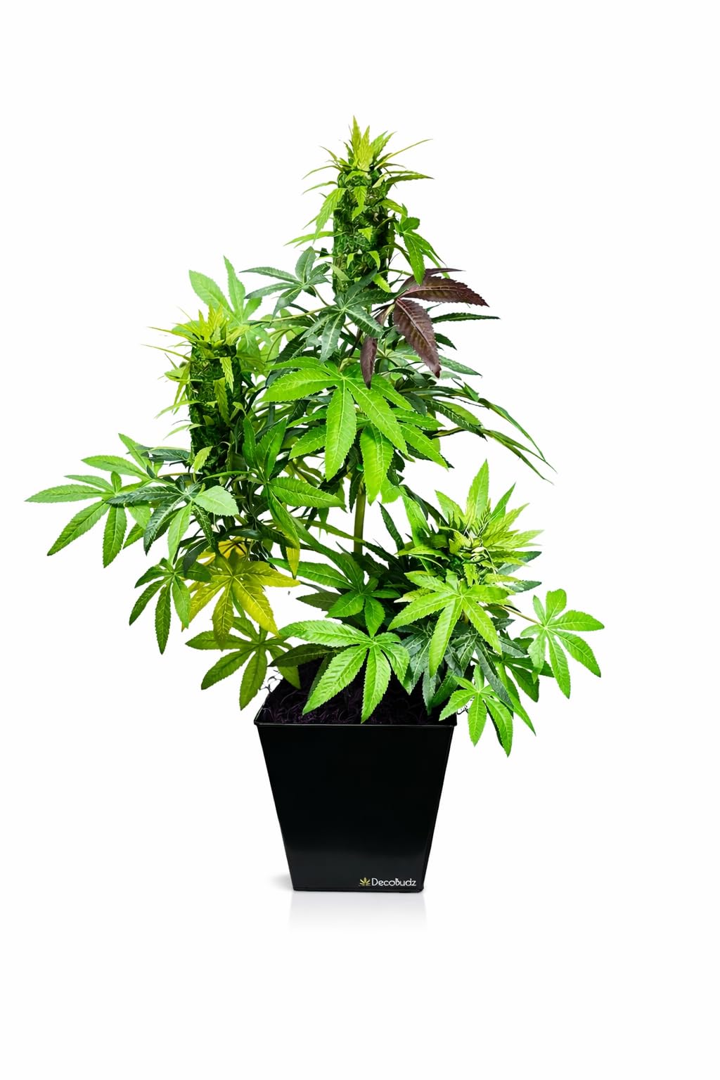 DecoBudz 人工大麻 Amazon.com: DecoBudz Realistic Faux Cannabis Decor – Artificial