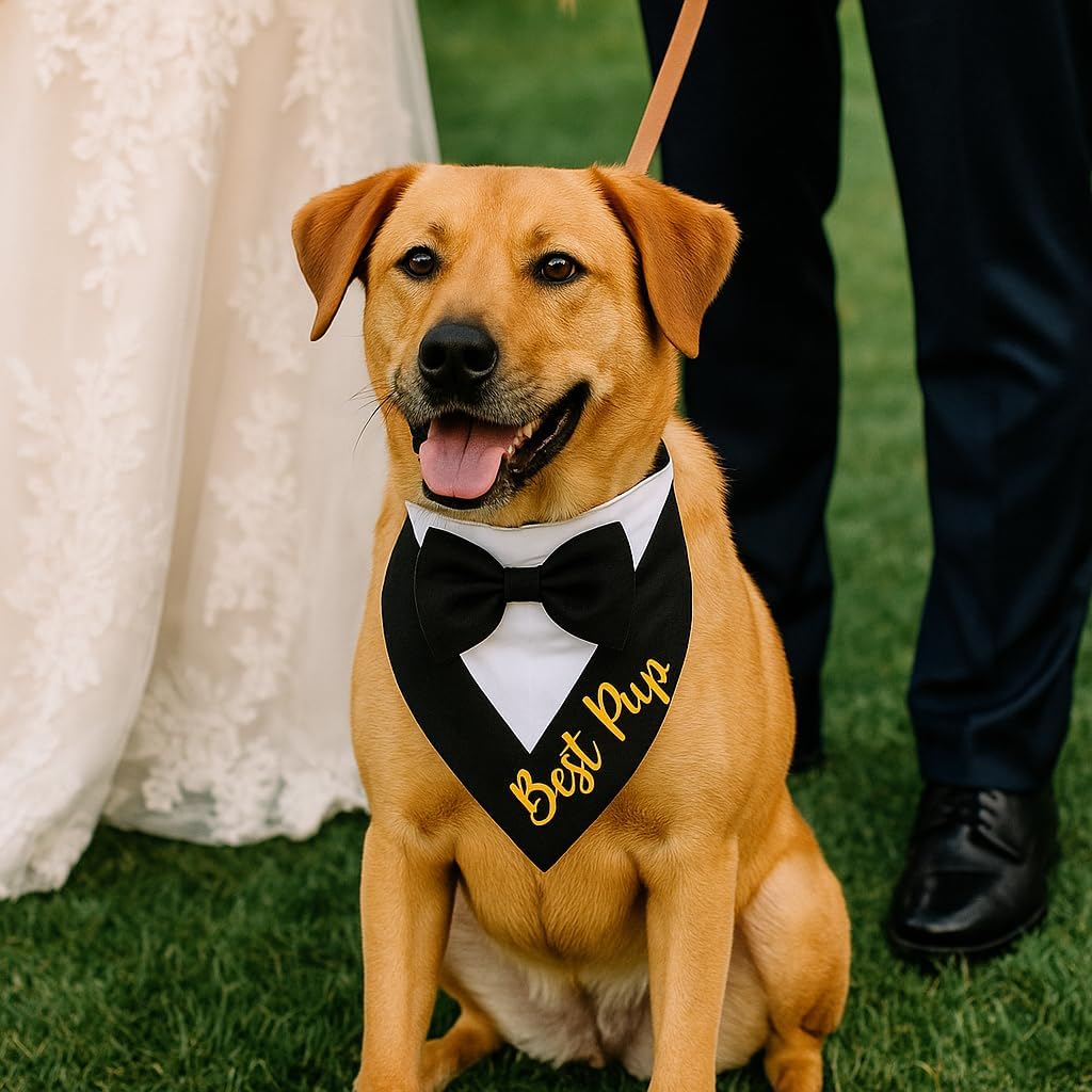 Brosash Dog Tuxedo with Bow Tie – Medium Dog Wedding Outfit | Formal Pet Accessory for Weddings, Engagements Photoshoots | Dogs Bandana Engagement Collar Tux Bowtie Suit Cat Outfits Ties Costume Pet image 4