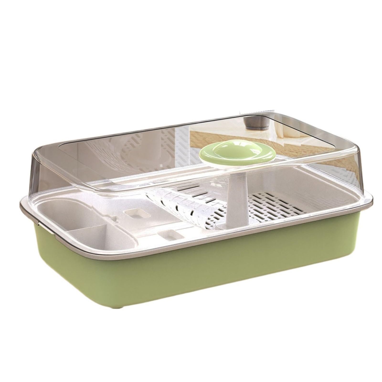 Terrarium Tortue Green avec système de séparation des excréments pour bureau