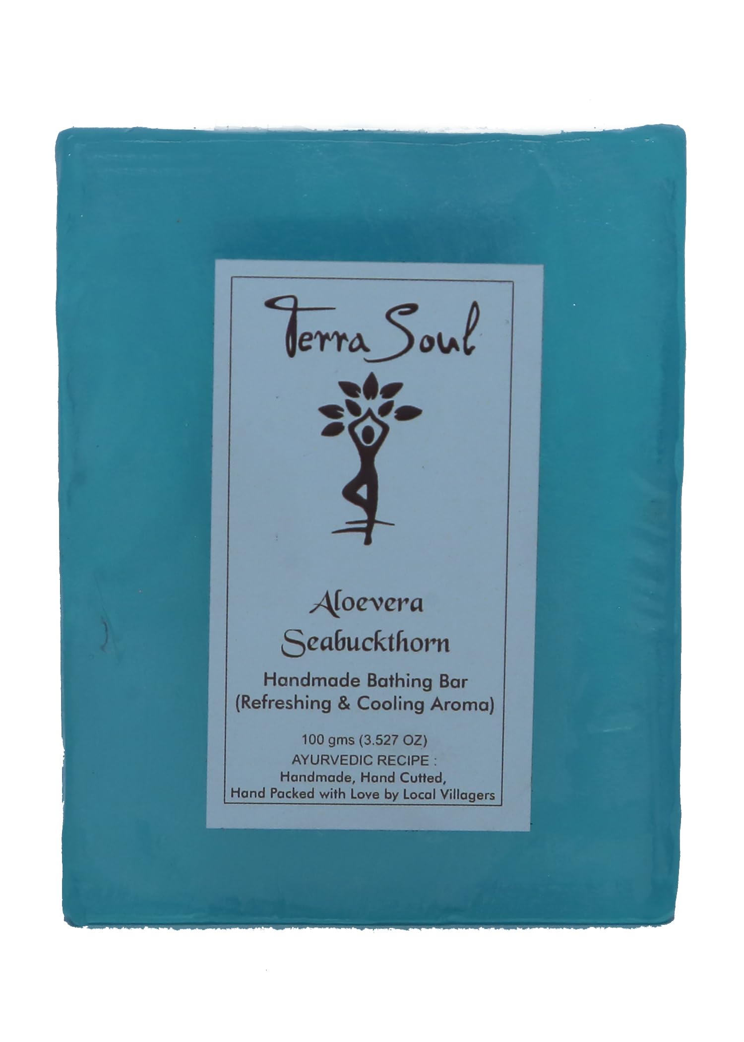 Terra Soul Natural Pure Organic Handmade Soap-(ALOEVERA SEABUCKTHORN)