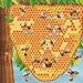 Discovering the Busy World of the Beehive (Happy Fox Books) Board Book Teaches Kids Ages 3-6 about Bees, Exploring a Hive with Each Page, plus Educational Facts and Vocabulary Words (Peek Inside)