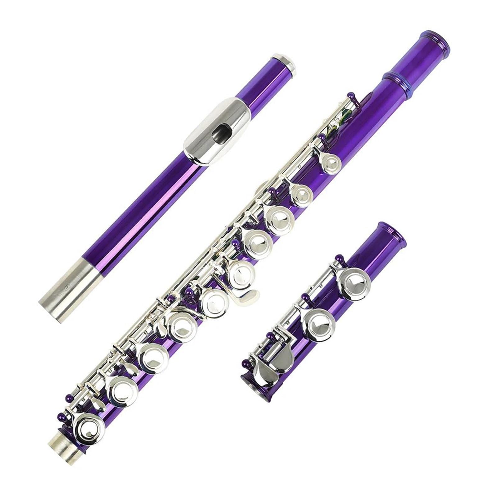 Flauto Per Principianti A 16 Fori Chiusi In C Corpo Ottone Bianco Nichelato Con Accessori(PURPLE)