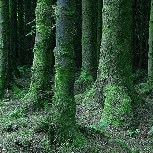 Play Did She Just Split the Atom? by Slim Stevens feat. Jessie Fenton ...