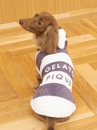 Gelato Pique Cat