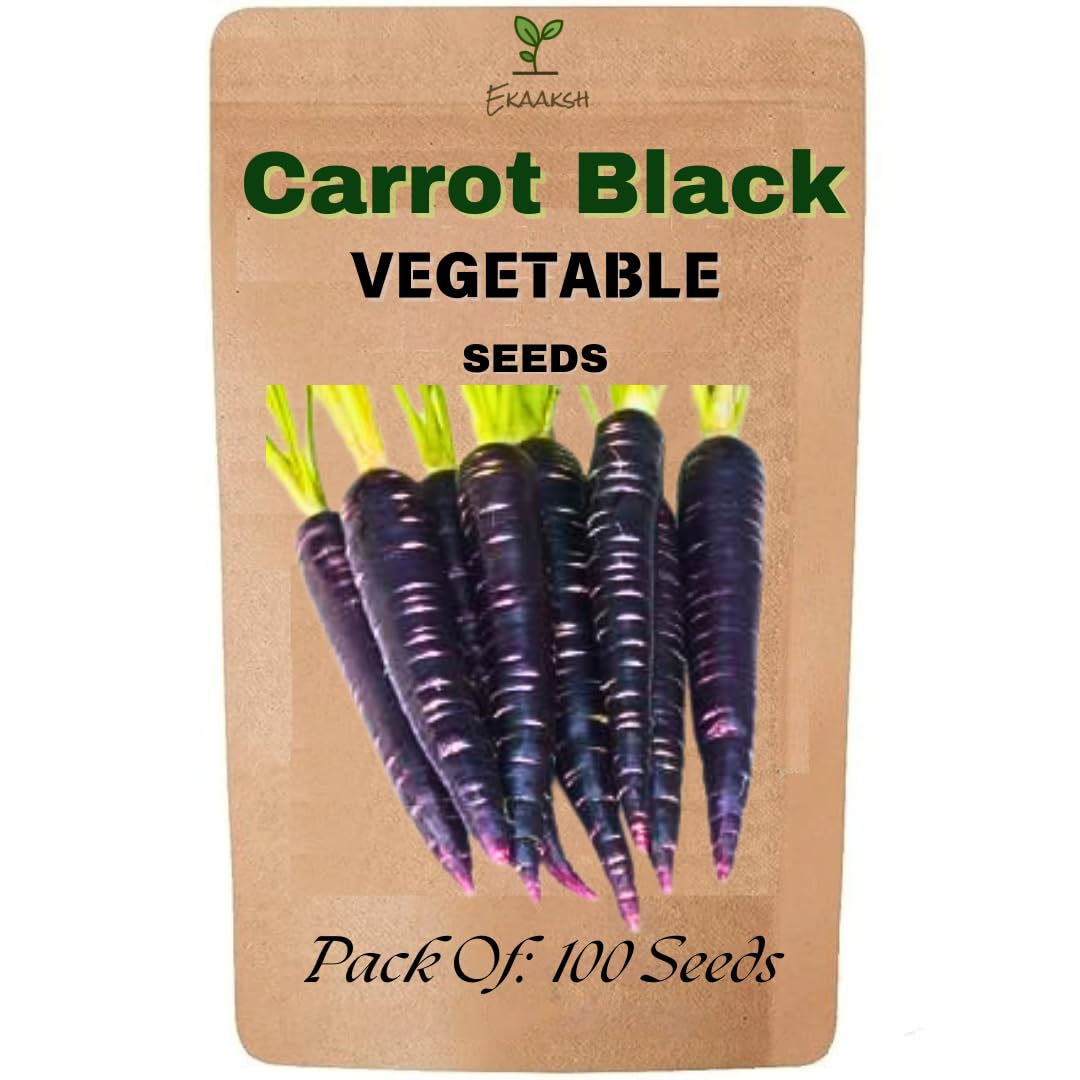 Ekaaksh - Carrot Black Seeds + Free Seed Germination Paper + Planting Guide - New Seeds with Test Result - Best for Pots, Terrace & Kitchen Gardening-image-36