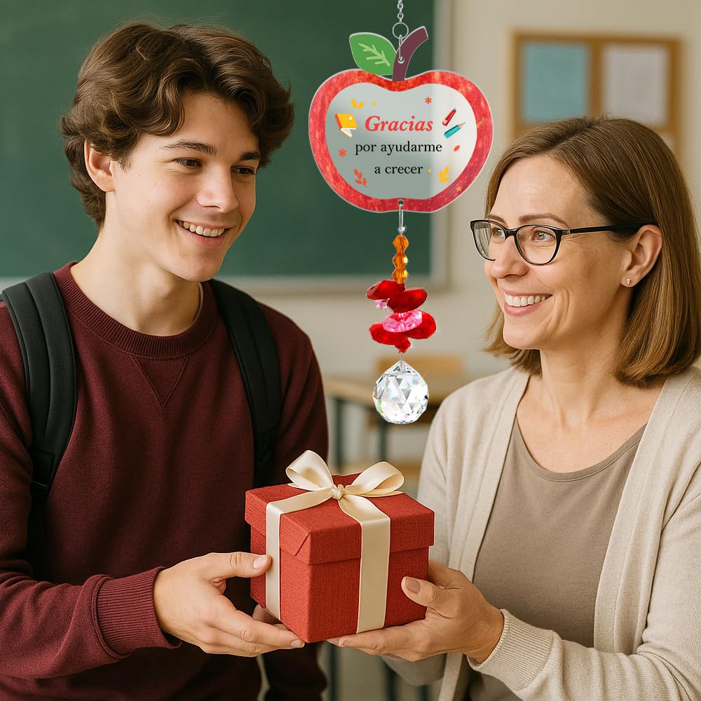 Regalo para Profesora Atrapasoles Regalo Profe Maestra Cumpleaños Regalos Profesora Primaria Guarderia Ideas Regalos Profesor de Infantil Originales Fin de Curso Navidad Reyes San Valentín
